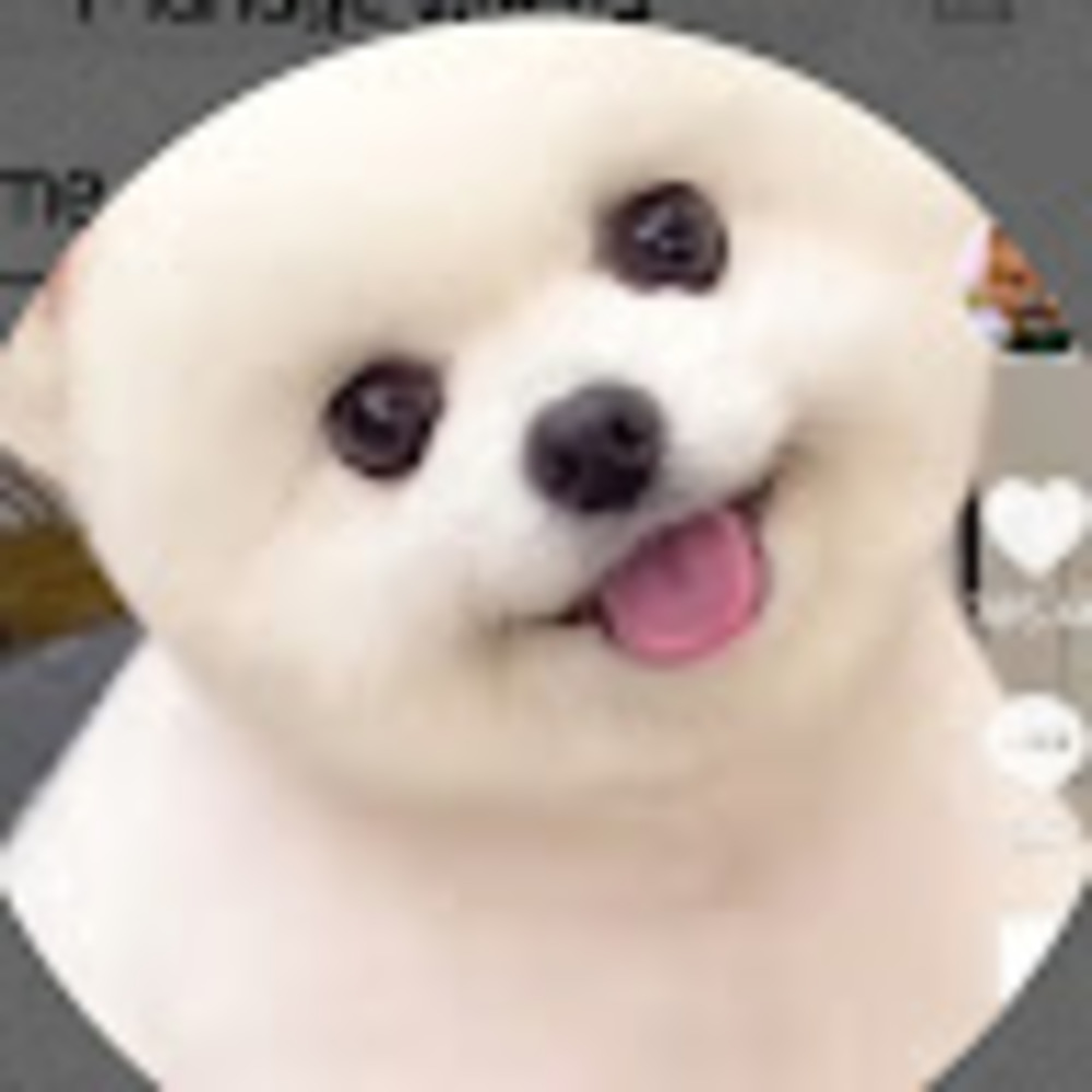 Meet your Posher, Via